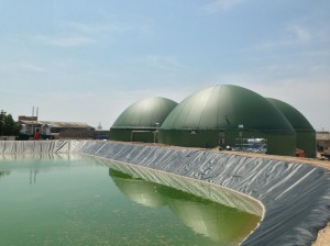 Planta de Biogás en Torregrossa de Som Energia